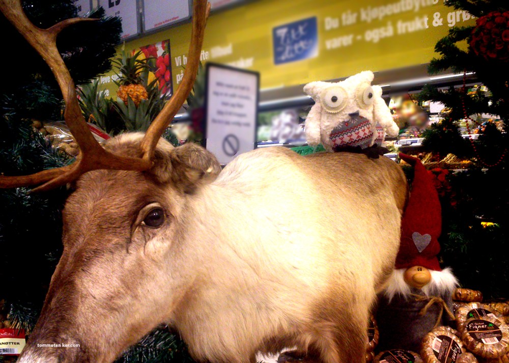 litt_ditt_tommetanker