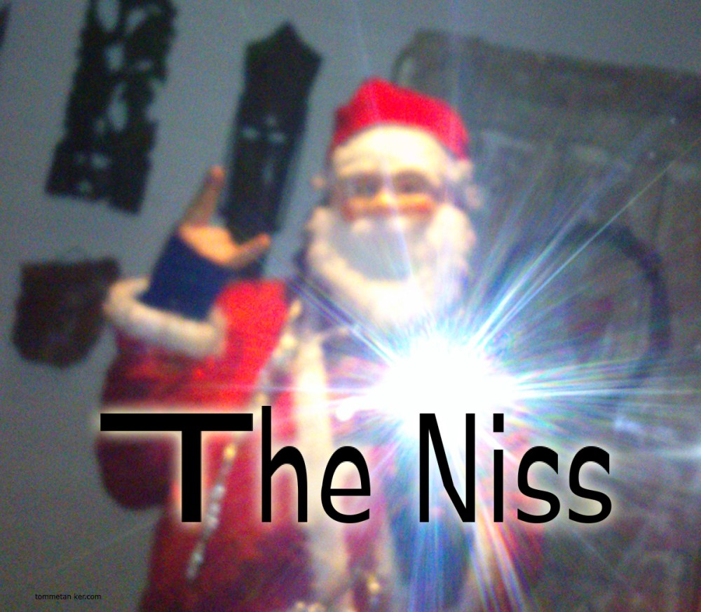the_nisse_selfie_tommetanker