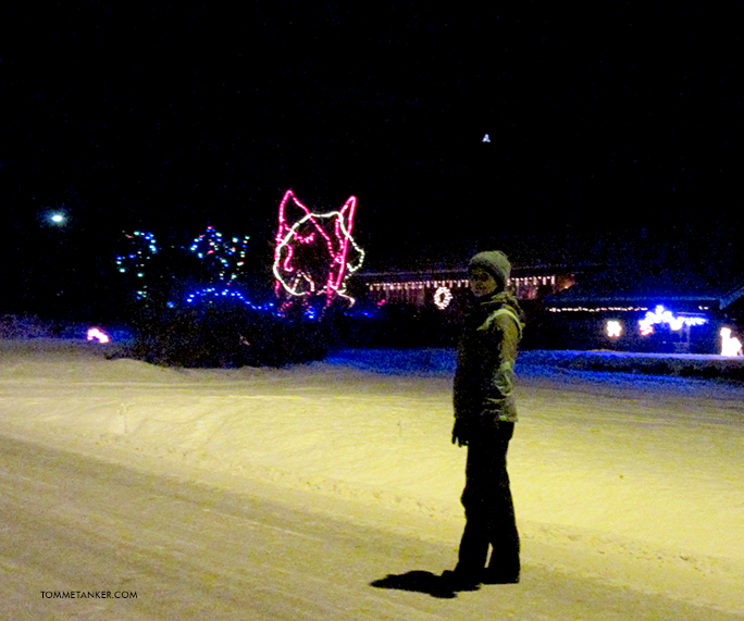 julehus_treungen_3_tommetanker