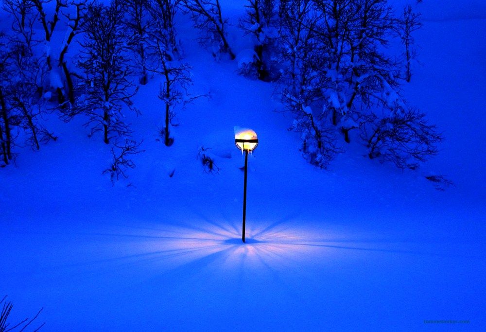 se_lyst_på_livet_på_hovden_tommetanker