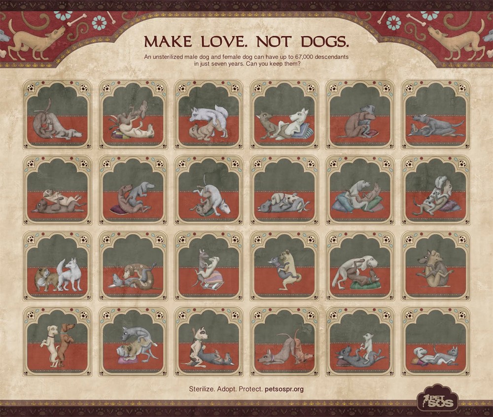 kamasutra_dogs