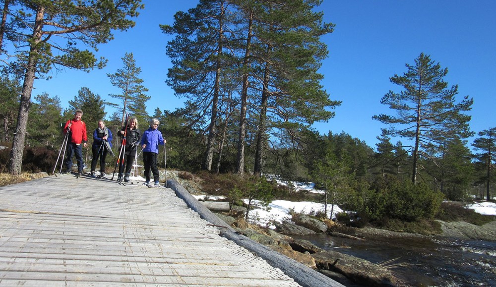 kleveland_silkeføre_tommetanker