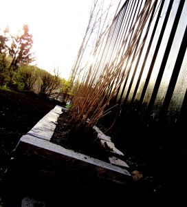 tomms_hagelag1_tommetanker