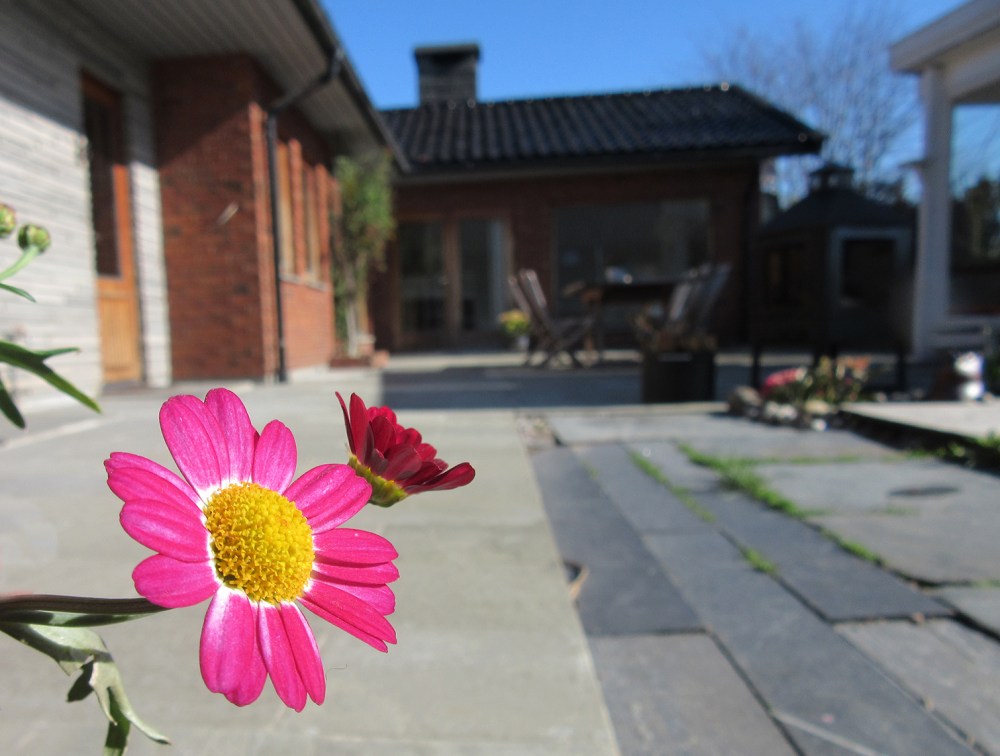 atriet_høvågveien26b