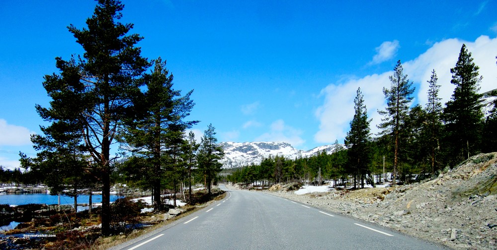 norge_likogdel_tommetanker