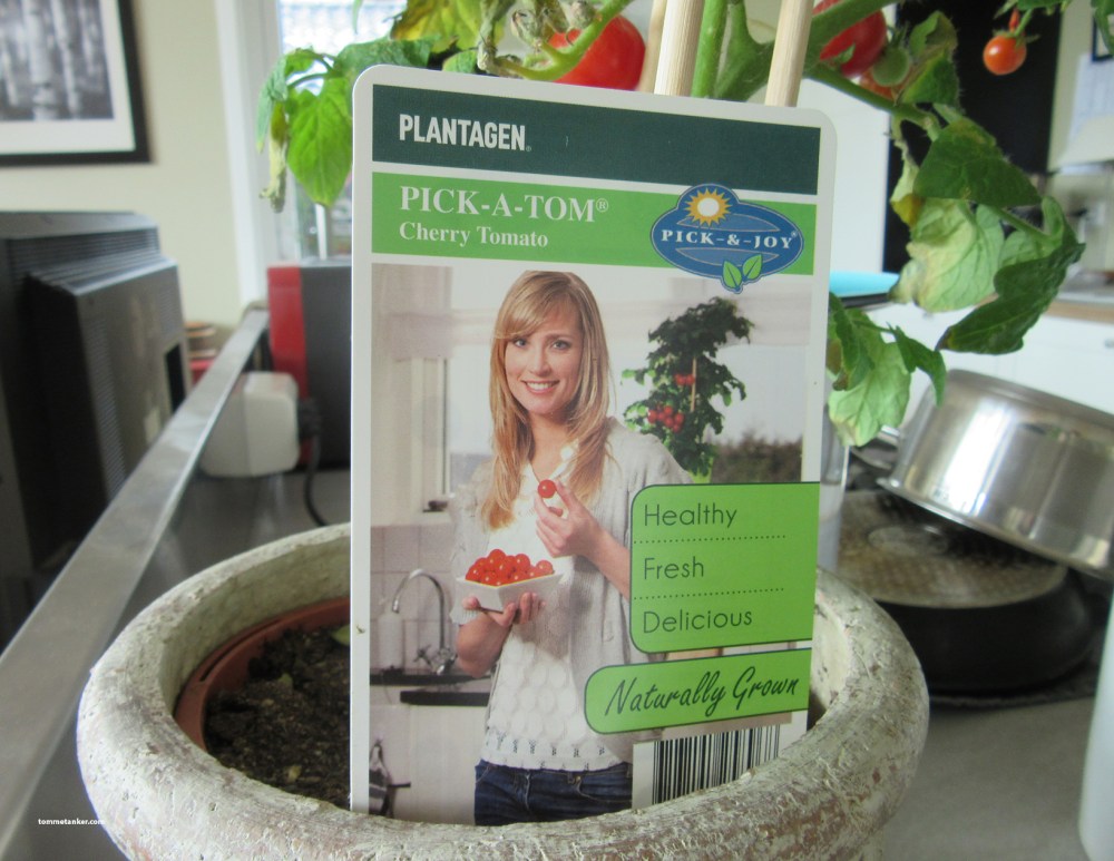 pick-a-tom-tommetanker