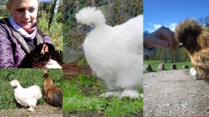 silke_fra_strai_2_tommetanker