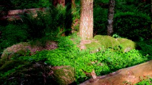 syretrip_2_tommetanker