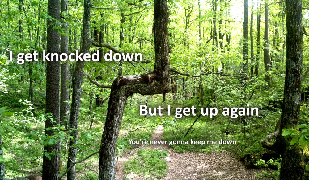 i_got_knocked_down_tommetanker