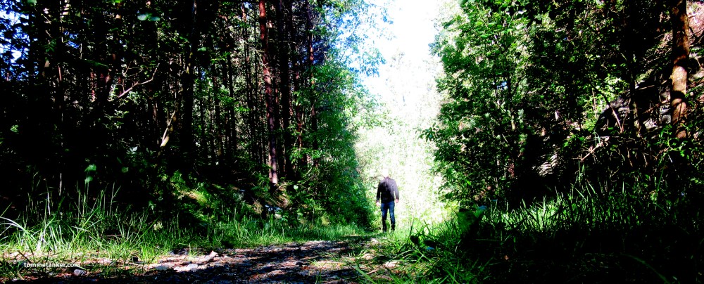 selfie_i_skogen_tommetanker