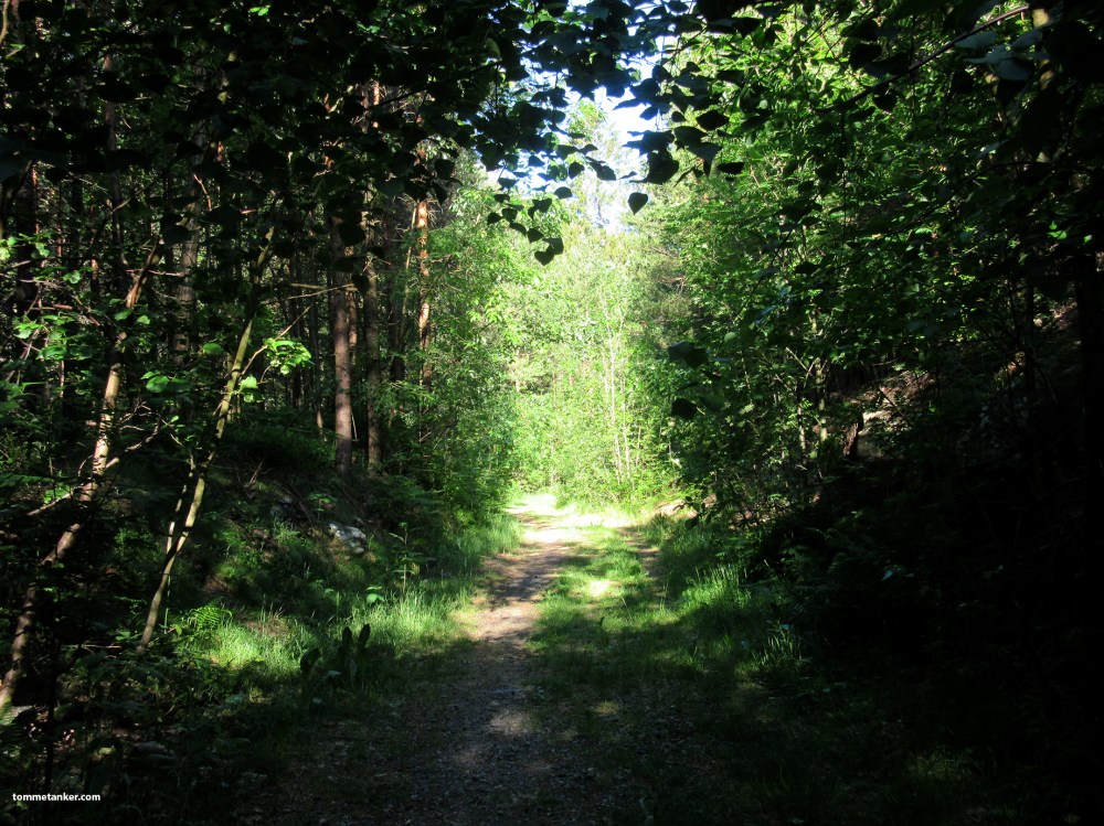 skogsvei_tommetanker