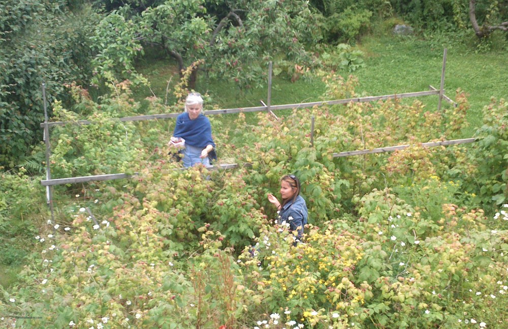 helt_på_bærtur_tommetanker