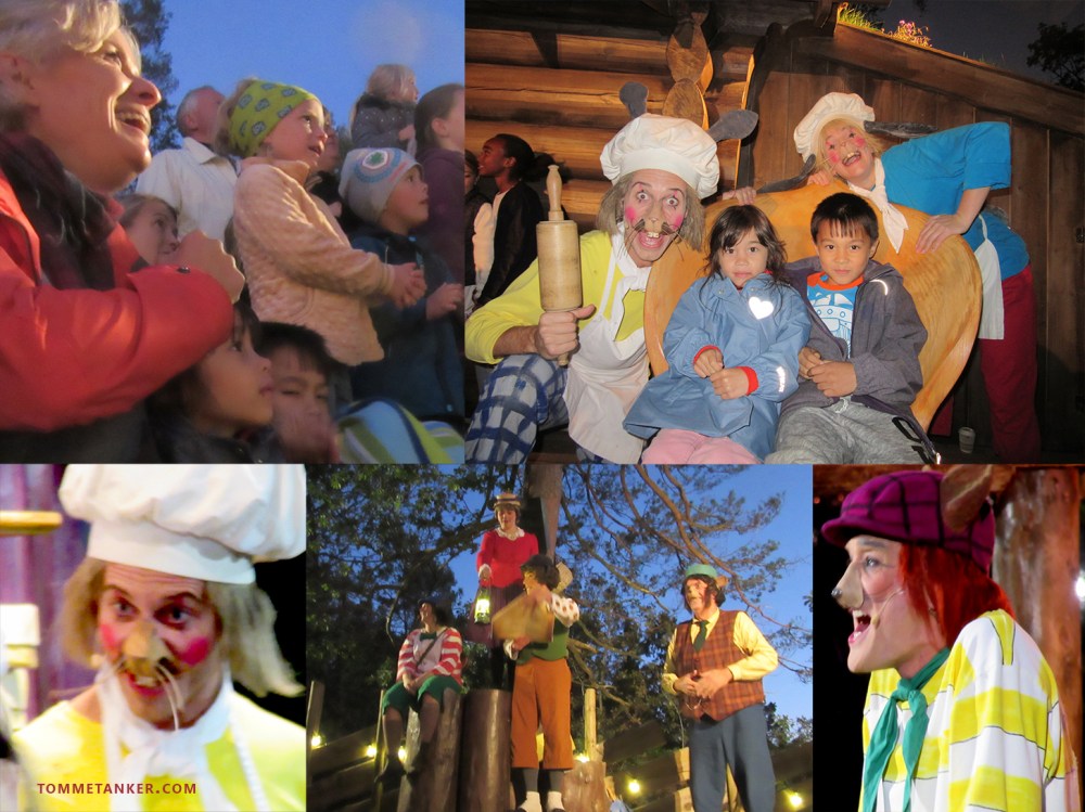 hakkebakkeskogen_tommetanker