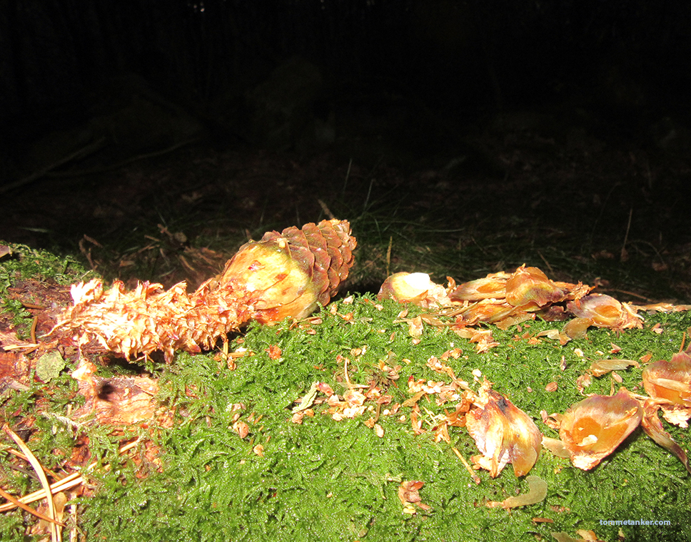 herremåltid_tommetanker