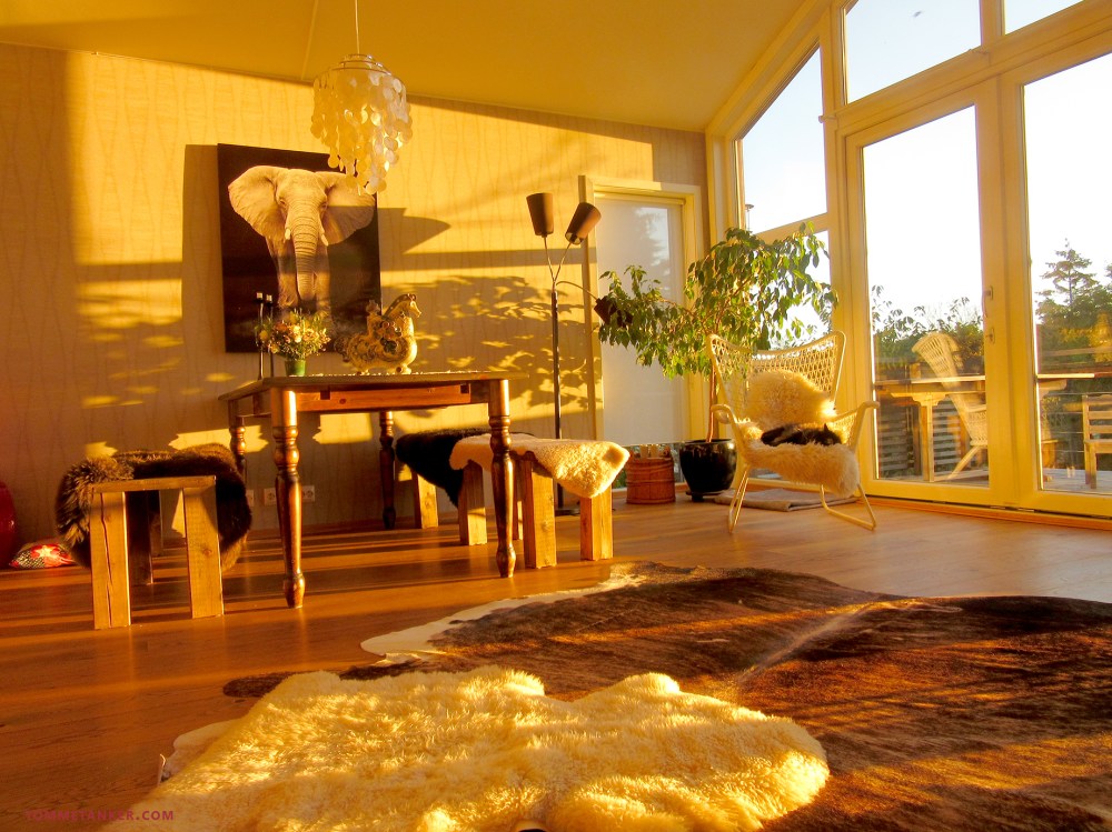 interior_tommetanker