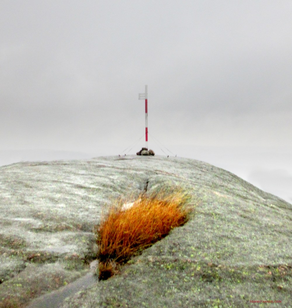 omvendte_båt_tommetaneker.