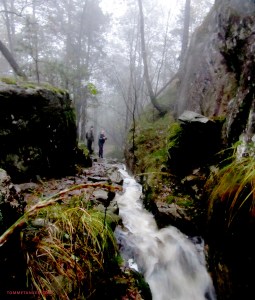 salvestjønn_bekken_tommetanker