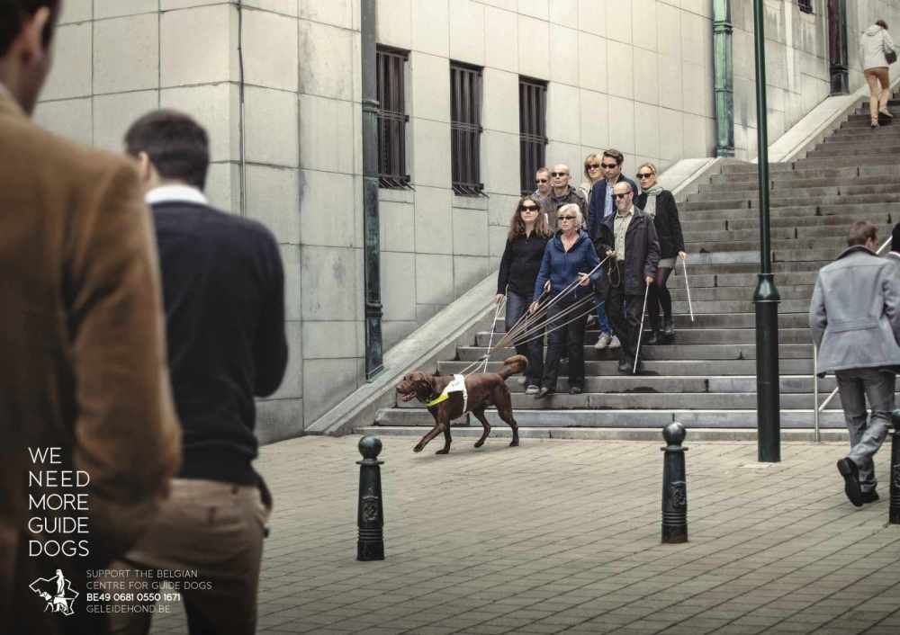 blindegeleide_honden_a3_def_uk_page_3_aotw