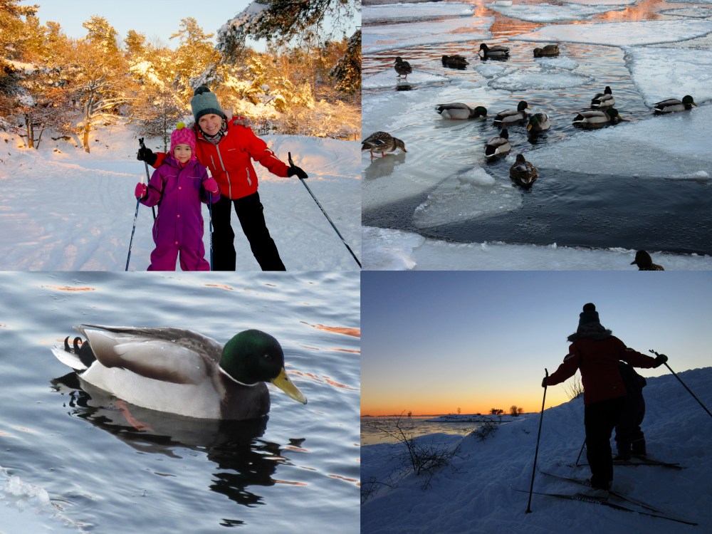 bertes_skitur_ender_tommetanker