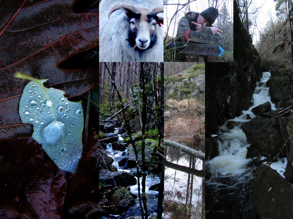 øygardstur_tommetanker