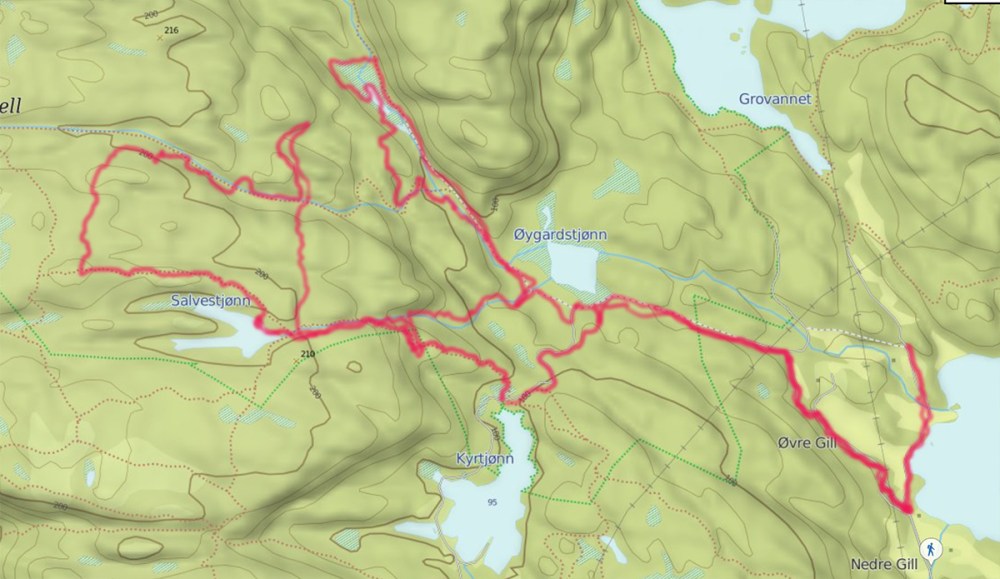 sakvestjønn_tommeturtanker
