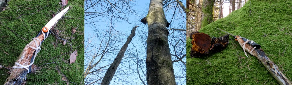 chaga_1-2-3_tommetanker