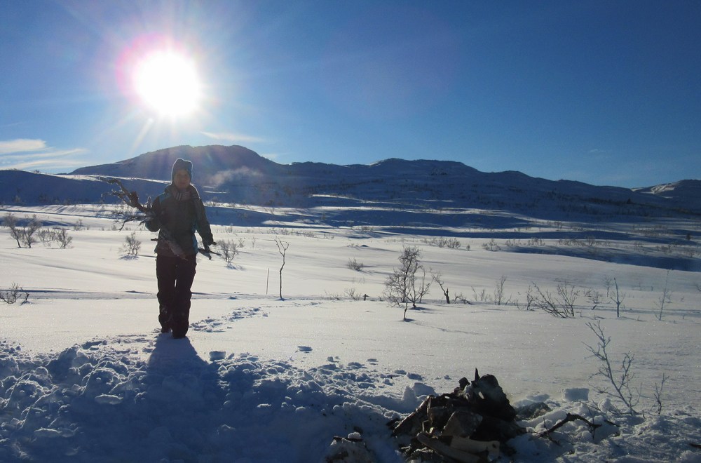 fjellrypa_maya_2_tommetanker