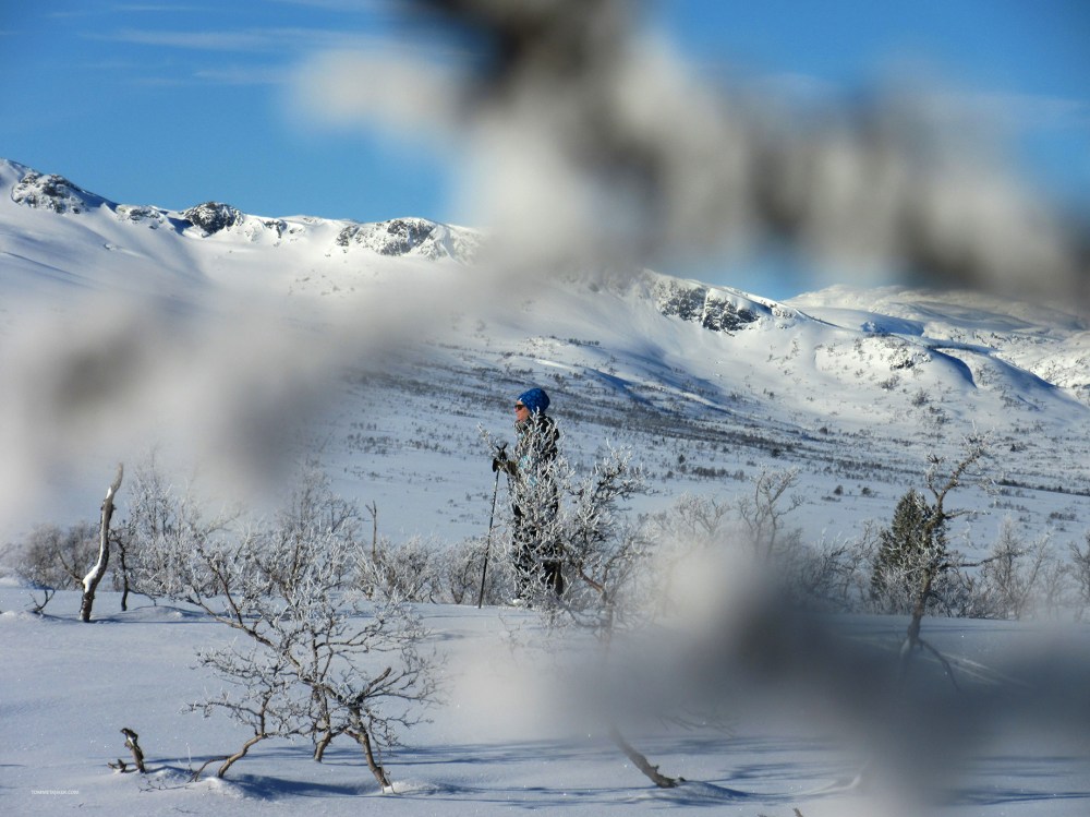 fjellrypa_maya_tommetanker