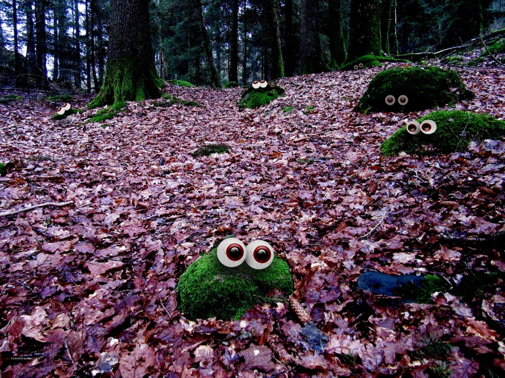 mosefolket_tommetanker