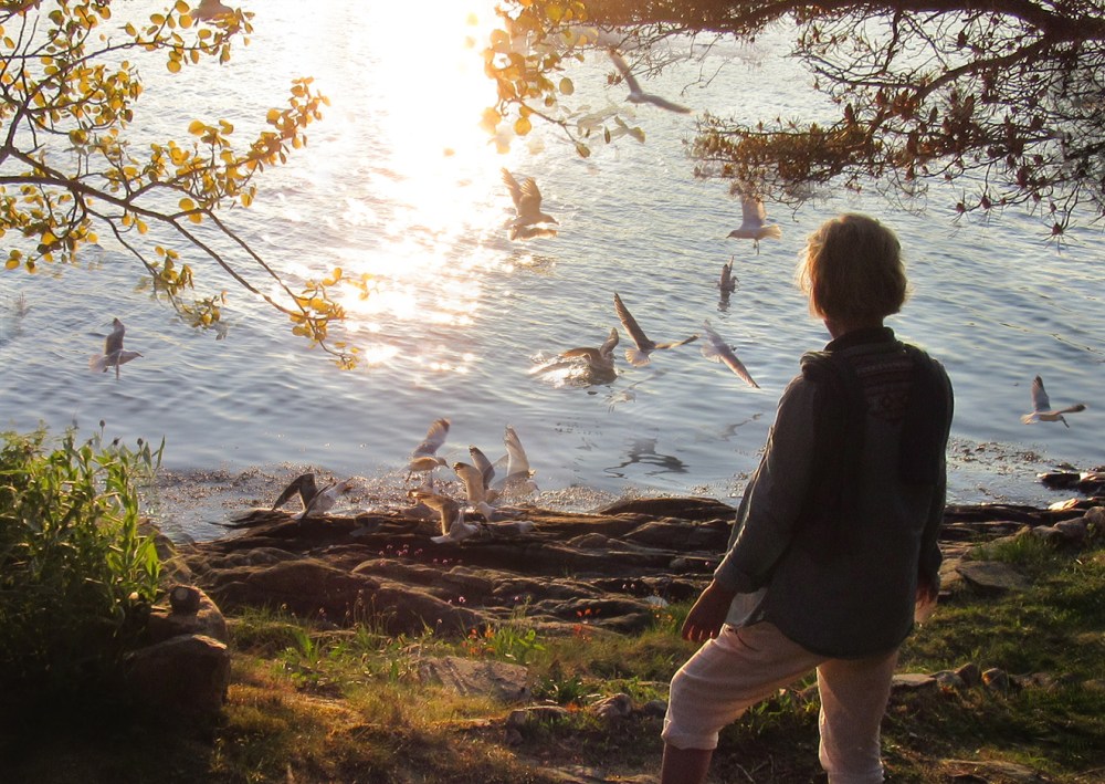 maya_og_måkene_tommetanker