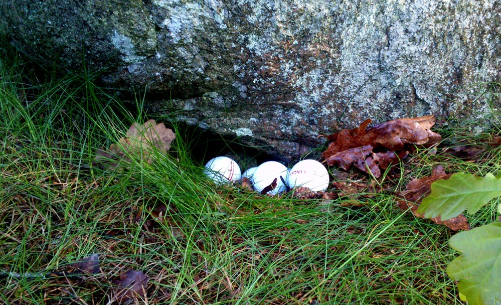 tuttarede_tommetanker