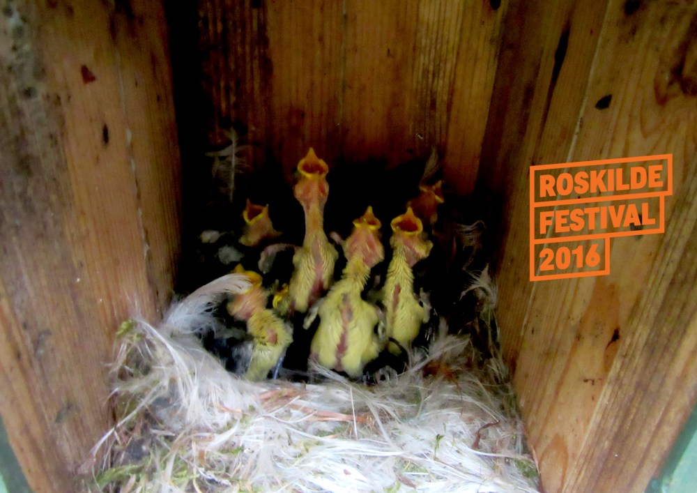 roskilde_2016_tommetanker