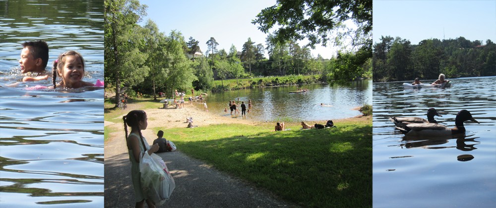 tretjønn_tommetanker