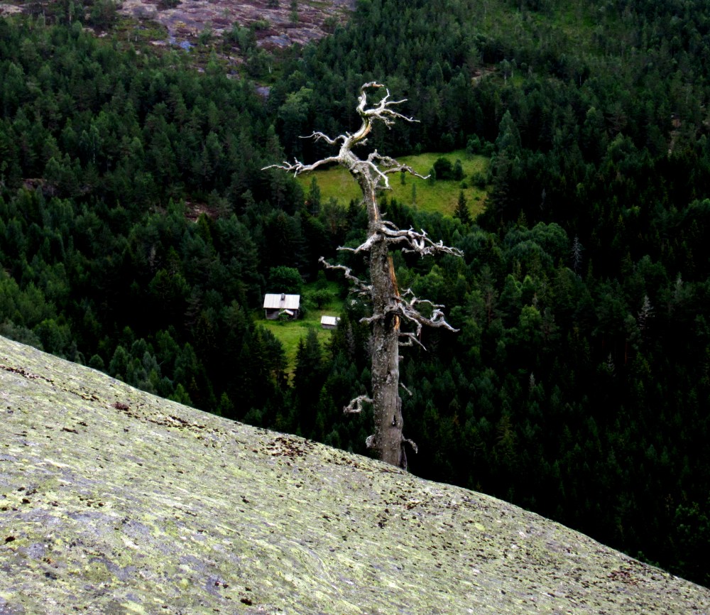 høyt_er_langt_ned_tommetanker