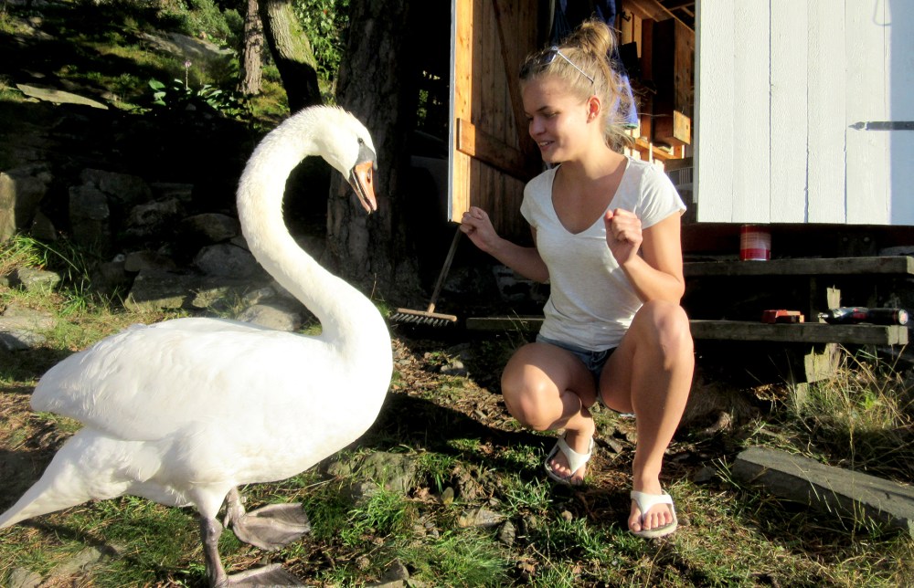 to_svaner_tommetanker