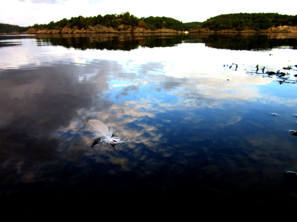 en_fjaer_tommetanker