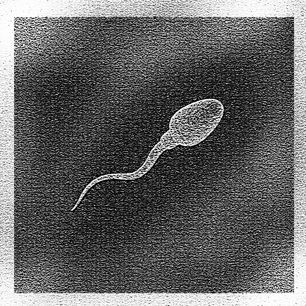 tar_utfordringen_tommetanaker