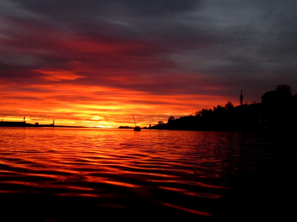 natural_reality_funfilm