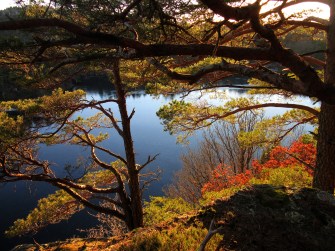 royrvannet_tommetanker