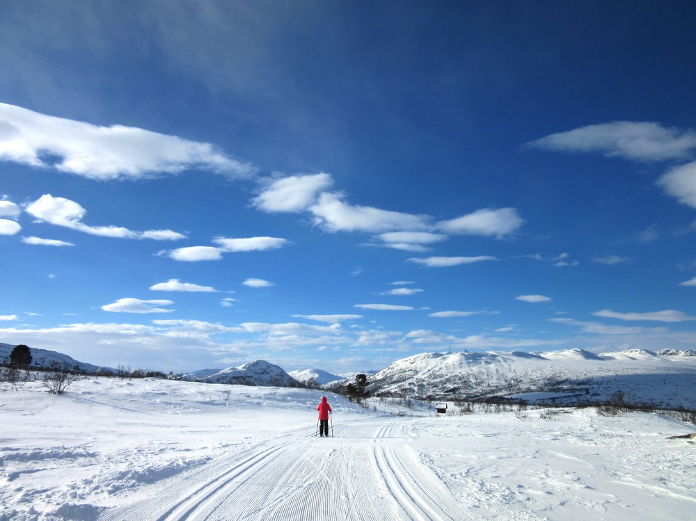 maya_hovden_tommetanker