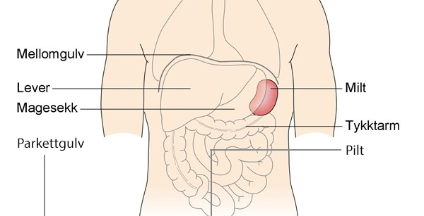 miltens_plassering_tommetanker