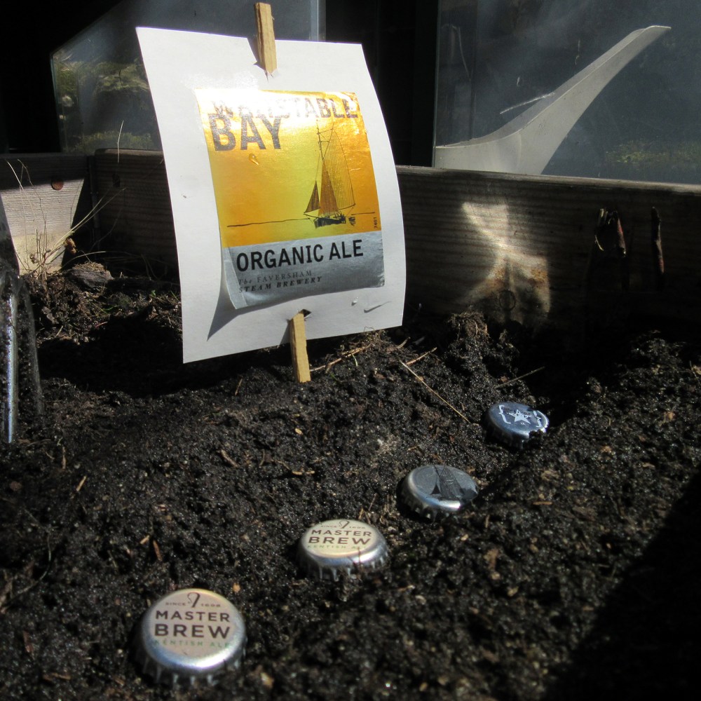 organic_ale_beerscapeme