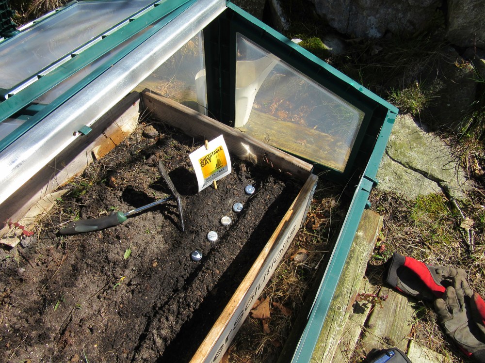 plante_øl_tommetanker