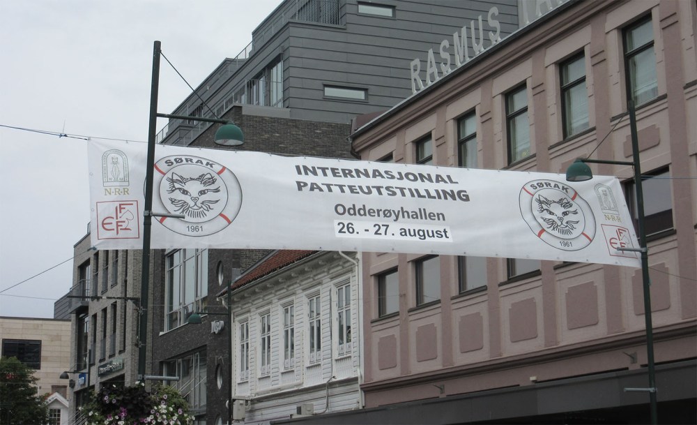 katteutstilling_tommetanker