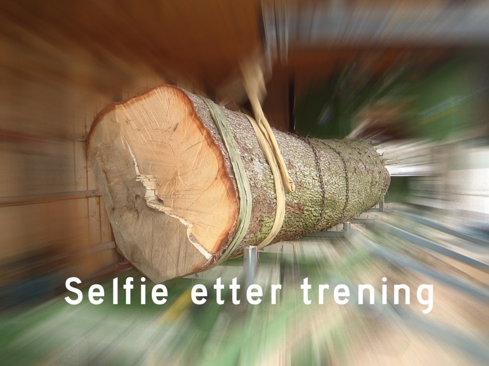 tommestokk_tommetanker