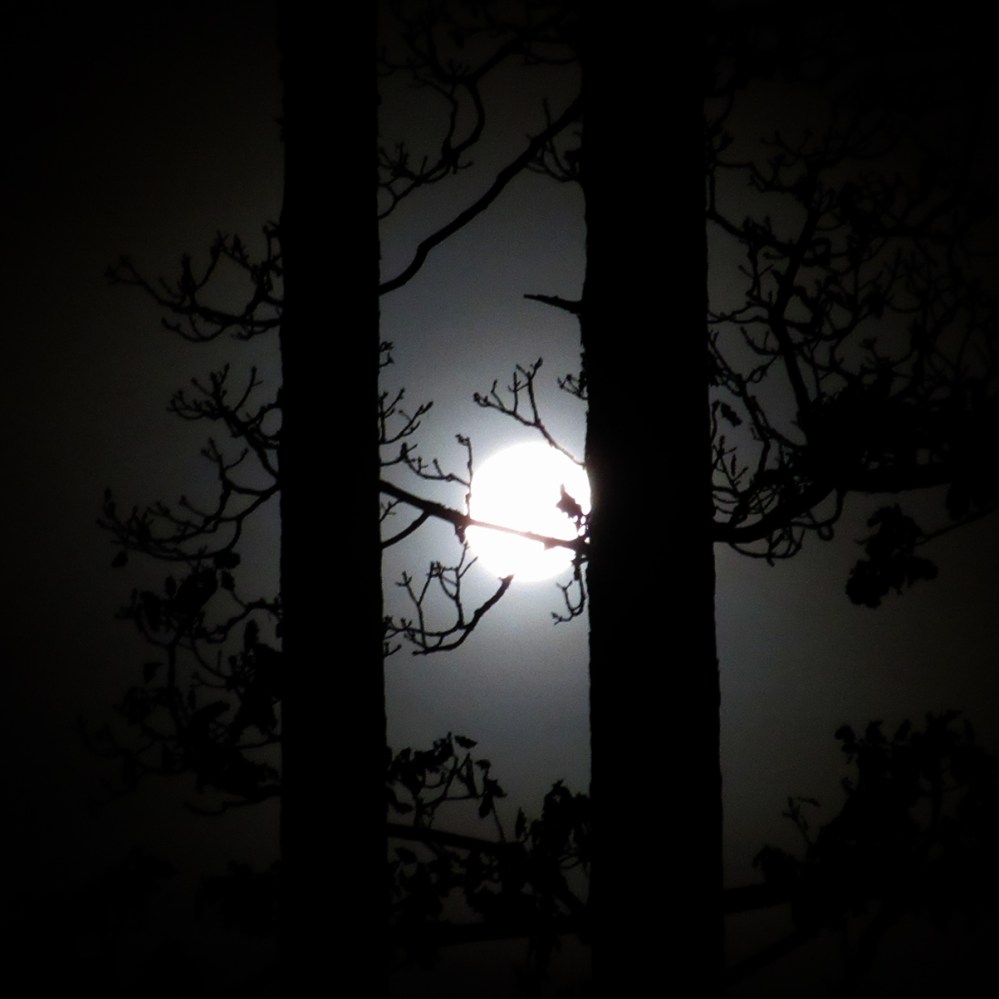 full_måne_tommetanker