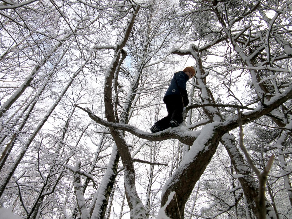 150m_skog_lucas_tommetanker