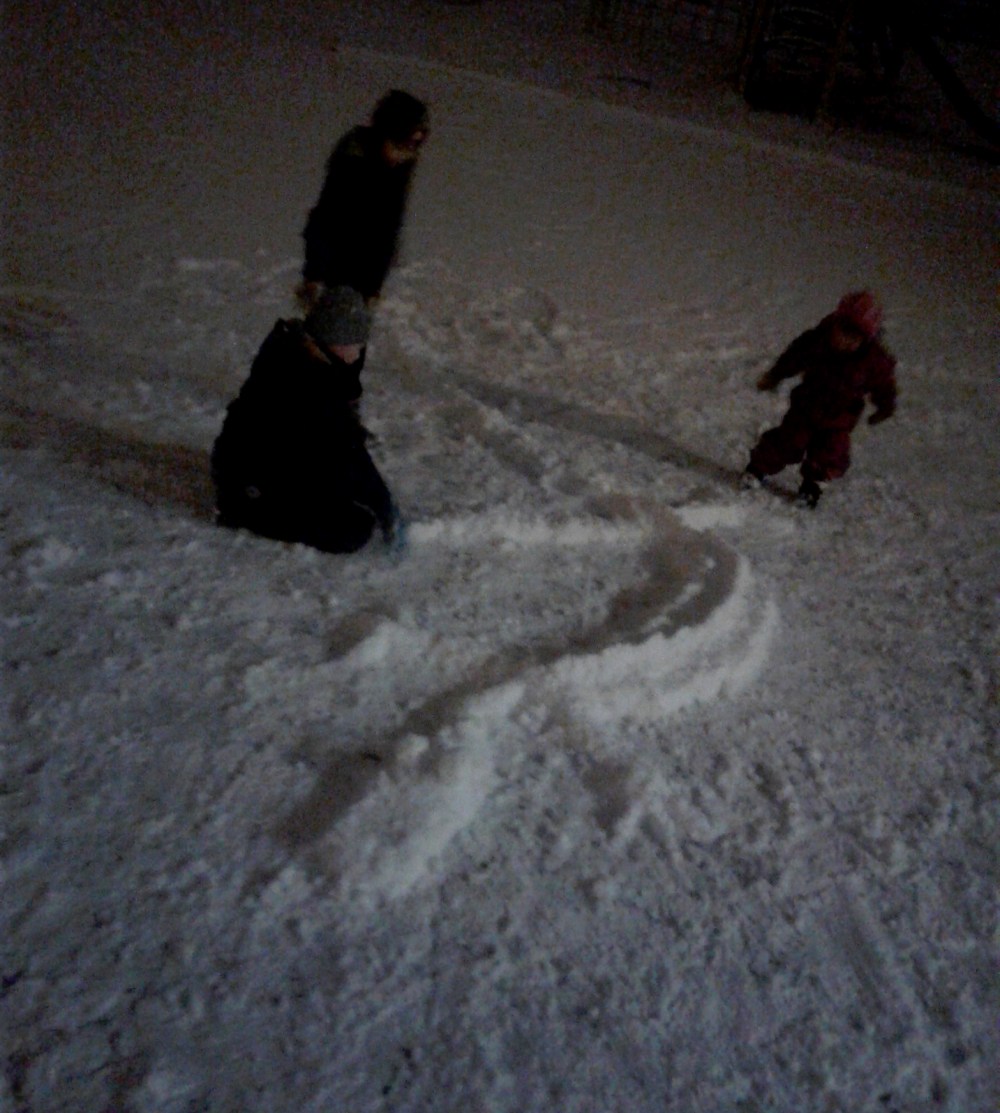 snøkrokkodille_tommetanker