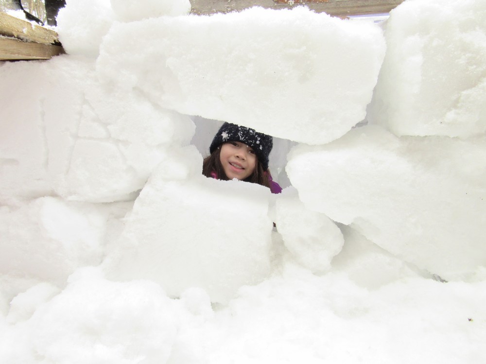 is-a-bella_tommetanker