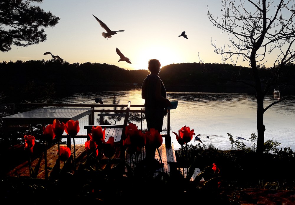 godt_lys_maya_tommetanker